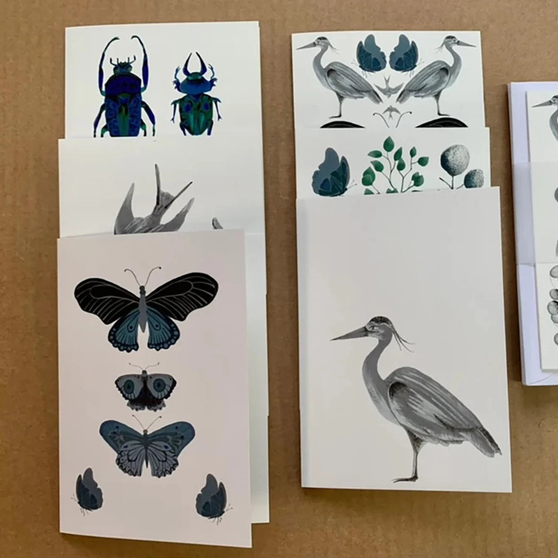 Natural History Card Set in White