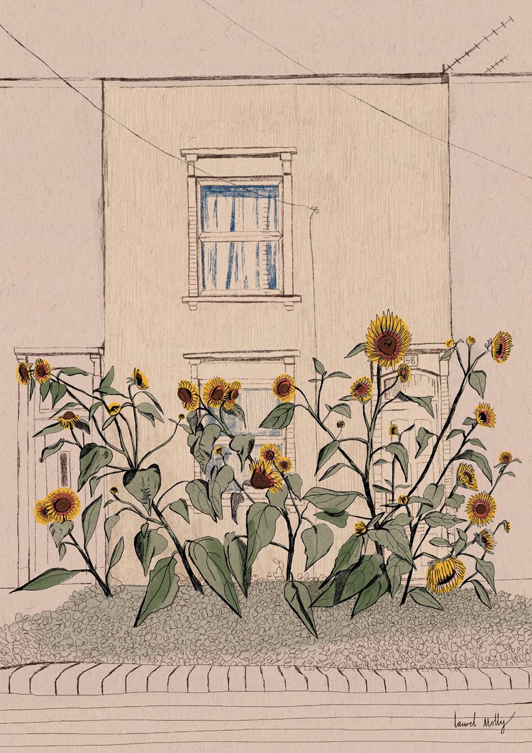 Sunflowers in Southville Print
