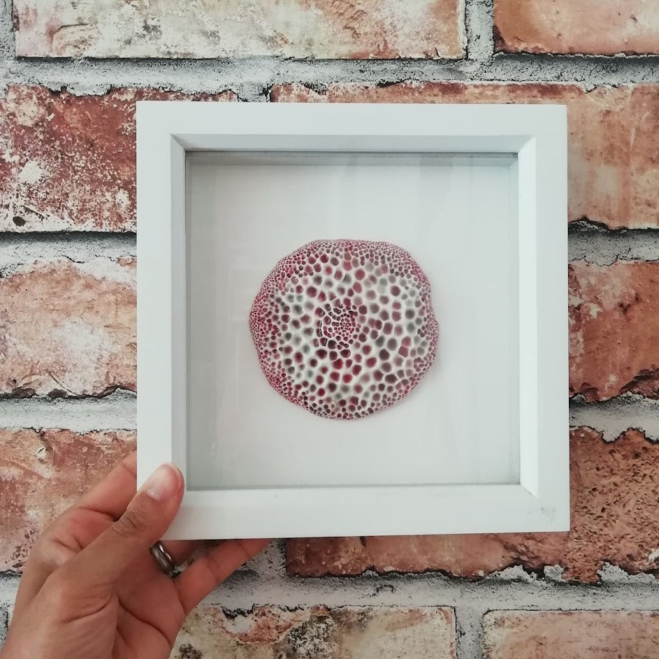 Framed Coral Tile