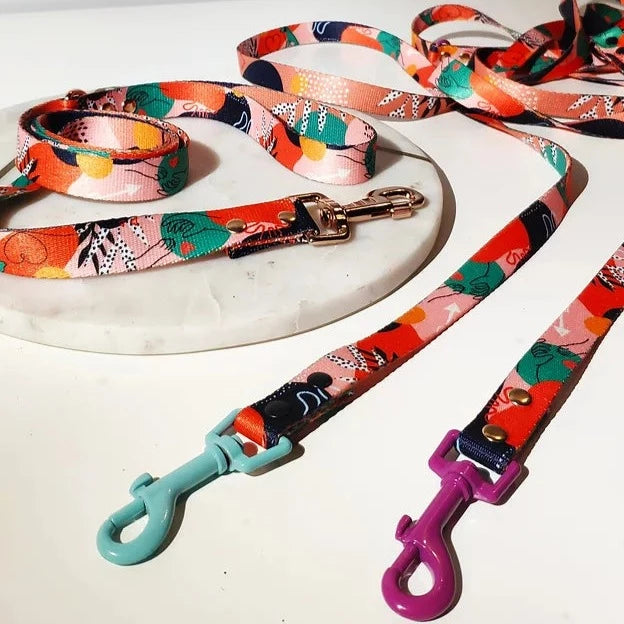 Love Dog Lead