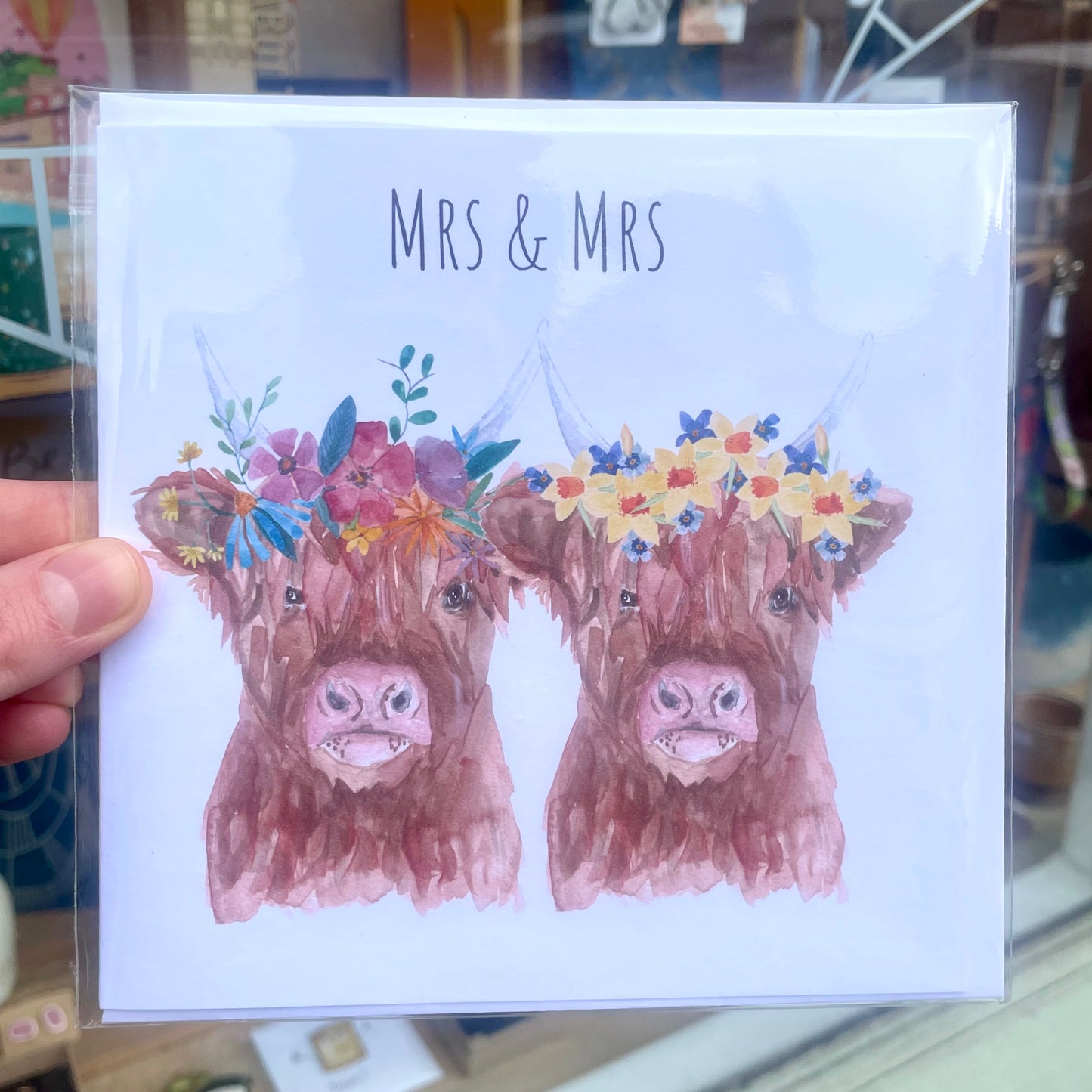 Mrs & Mrs Highland Cows