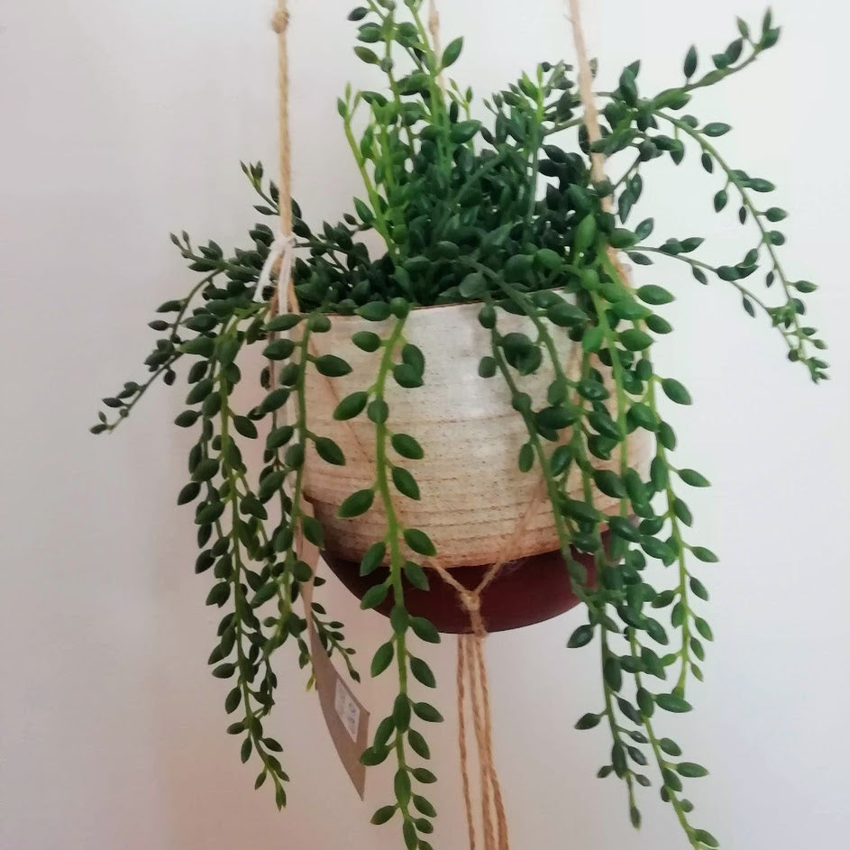 Medium Eggshell Hanging Planter
