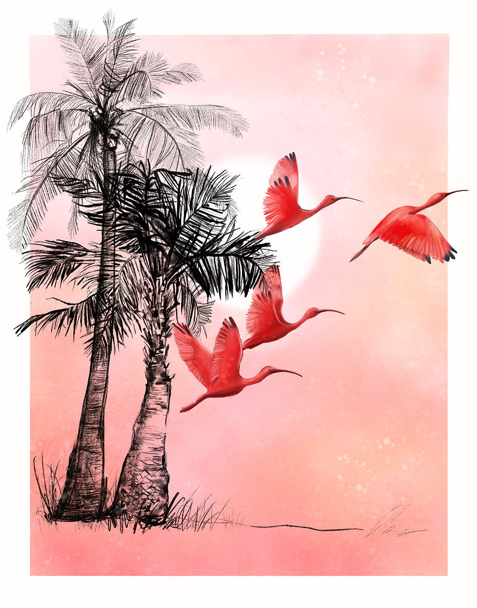 Scarlett Ibis Card