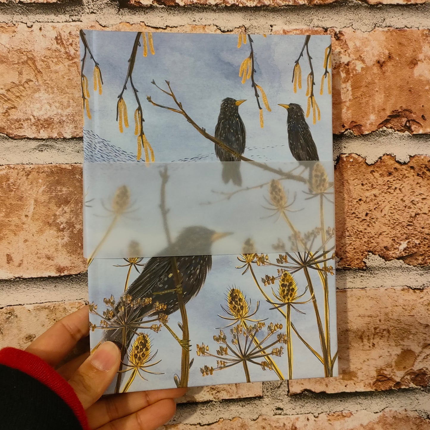 Winter Starling Notebook - Lined