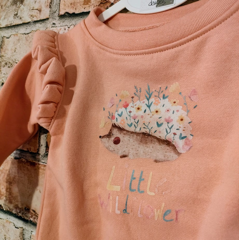 Little Wildflower Frill Sly Jumper