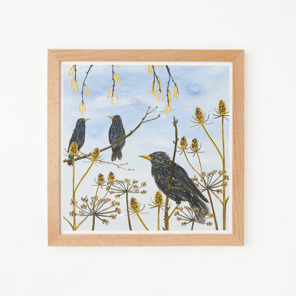 Winter Starlings Framed Print 30 x 30