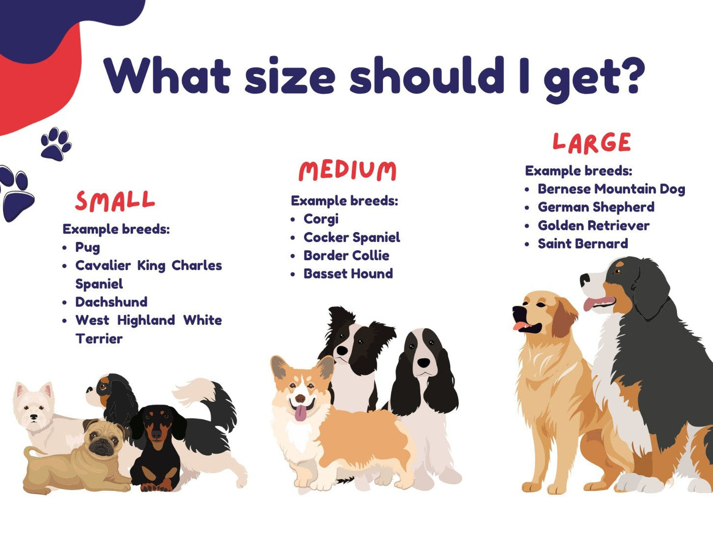 Cheers Drive Dog Collar