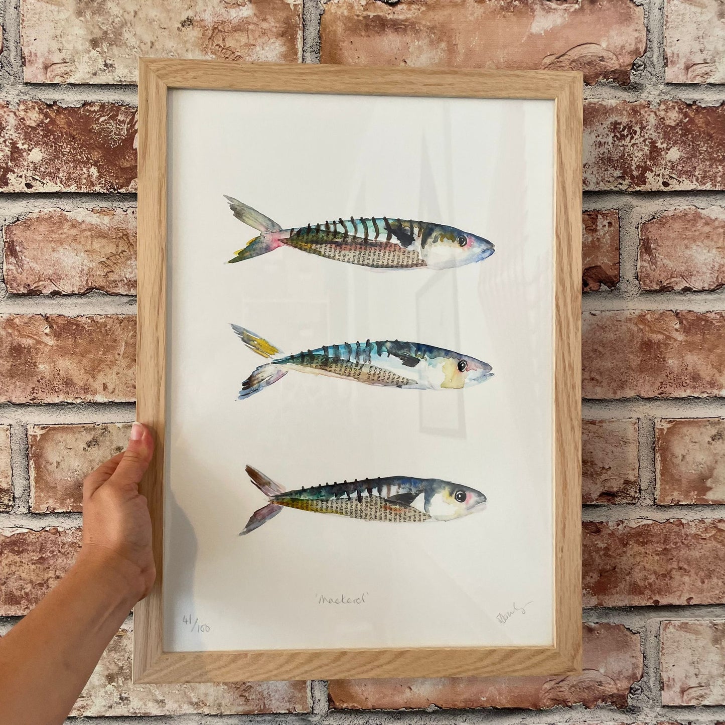 Framed Mackerel Print A3
