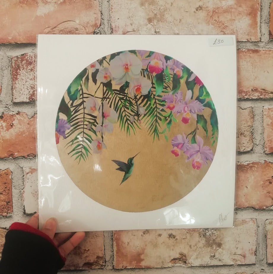 Hanging Orchids Print