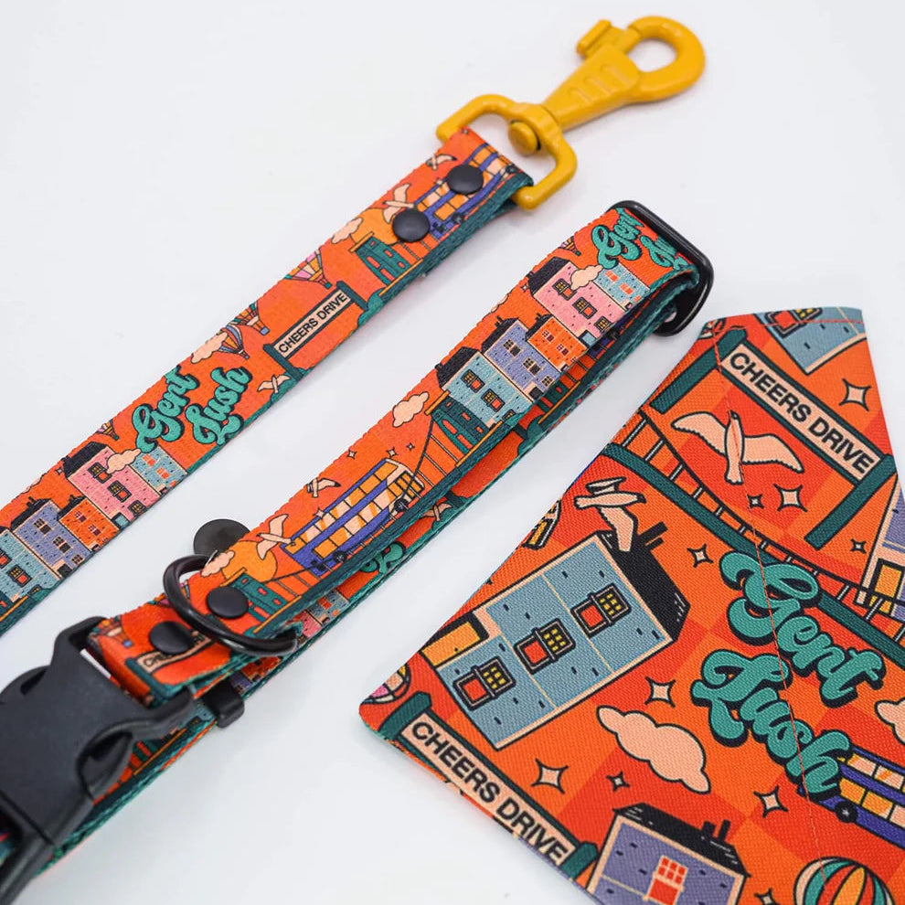 Cheers Drive Dog Lead 150cm