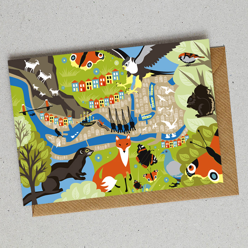 Bristol Wildlife Postcard