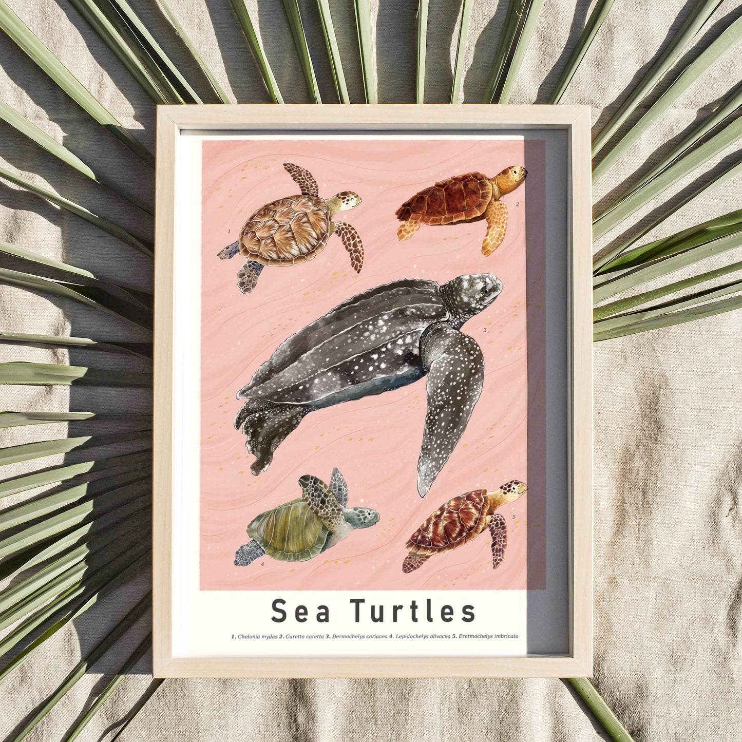 Sea Turtles Art Print