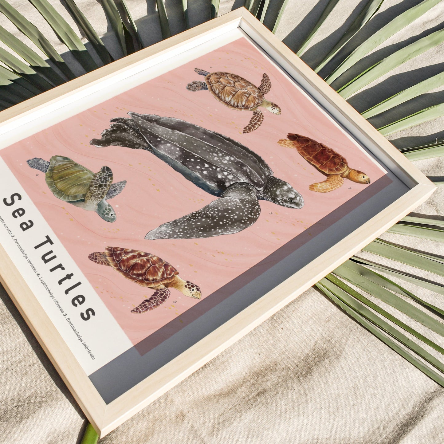 Sea Turtles Art Print
