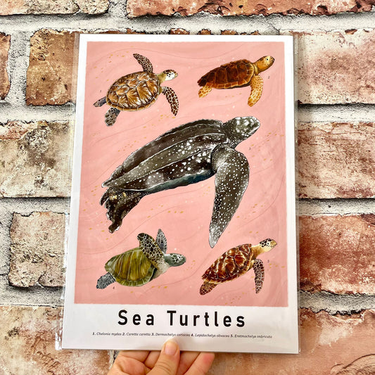 Sea Turtles Art Print