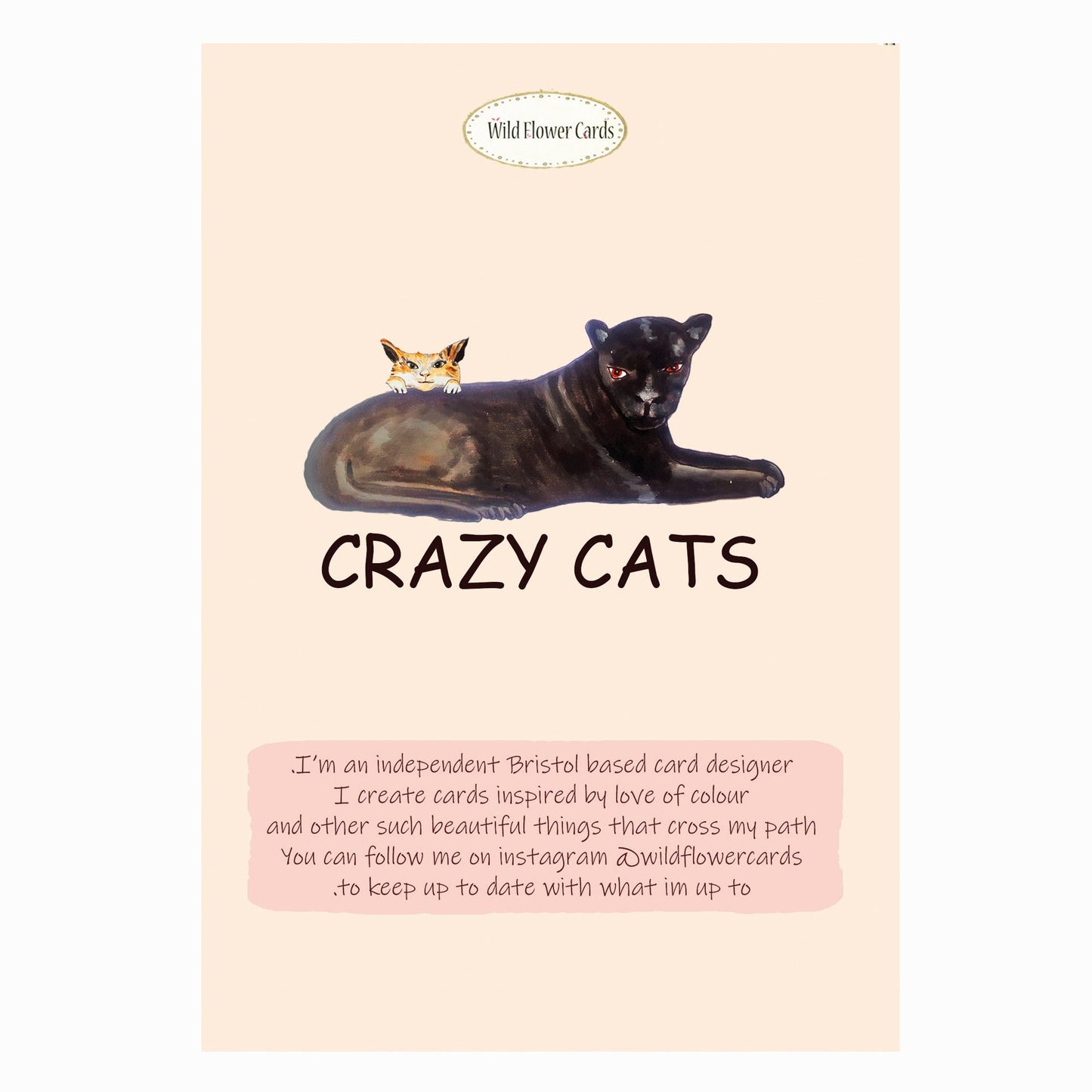 Crazy Cats Card