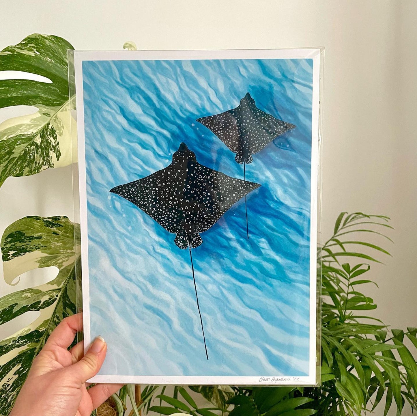 Eagle Ray Print
