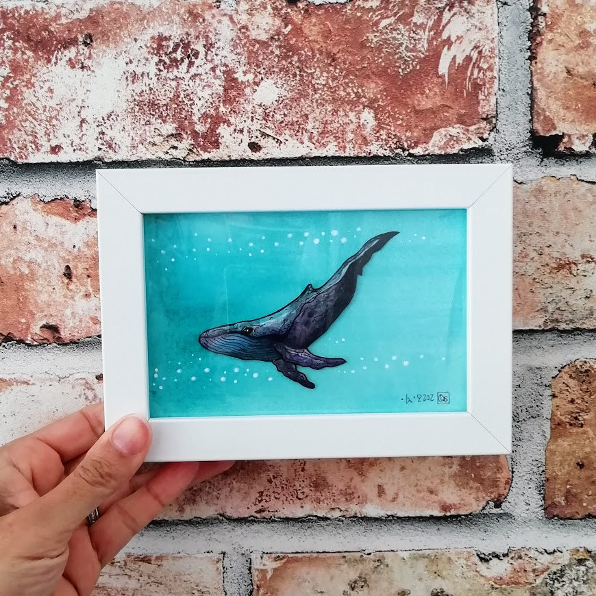 Frame Humpback Whale