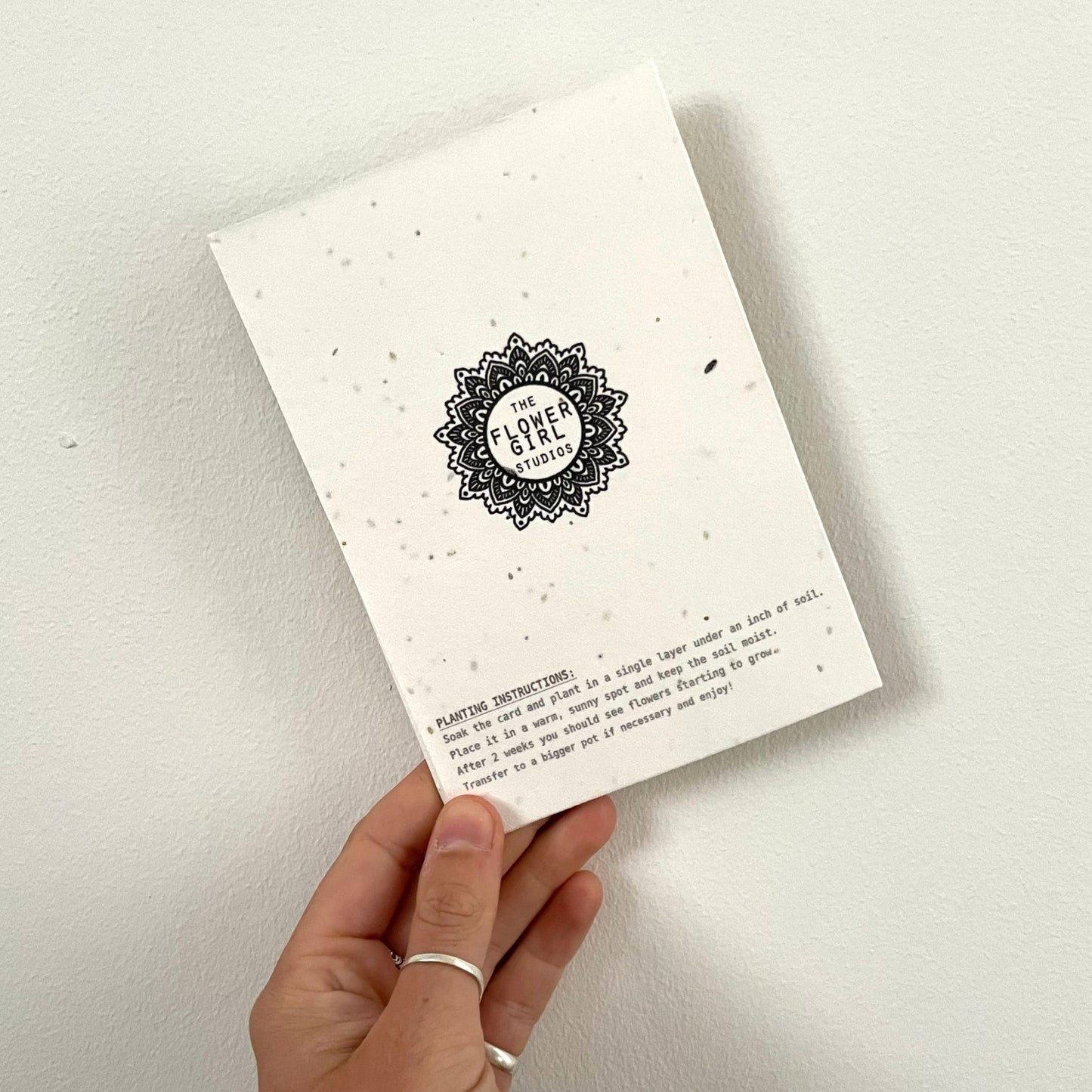 Rainbow Birthday Seed Card