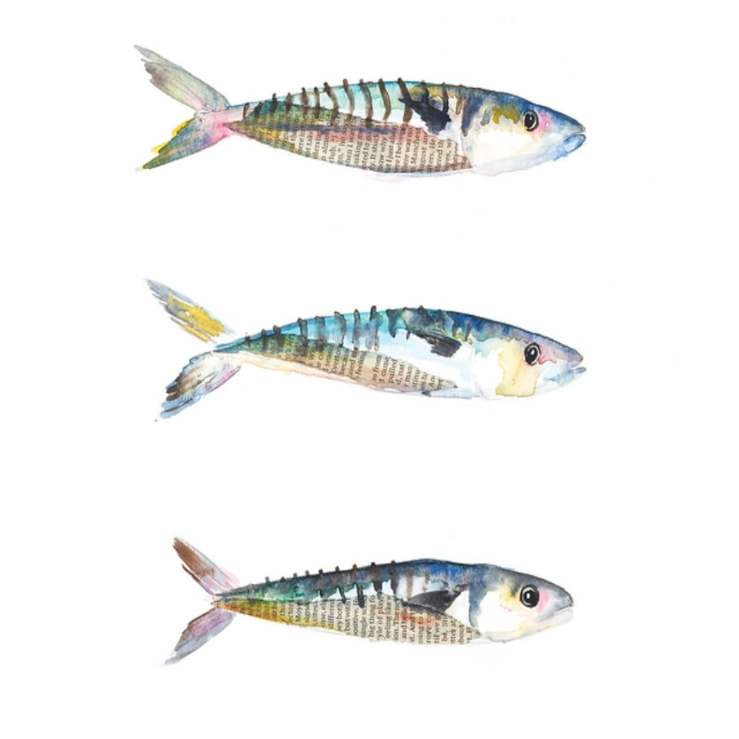 Three Mackerel Card