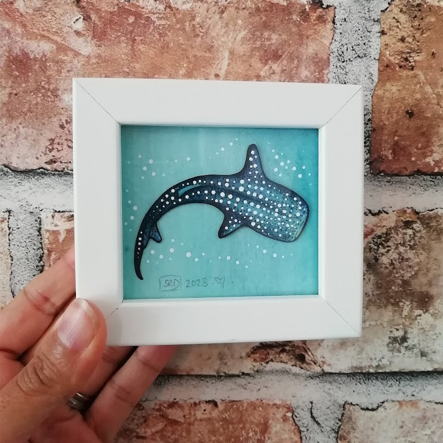 Mini Frame Whale Shark