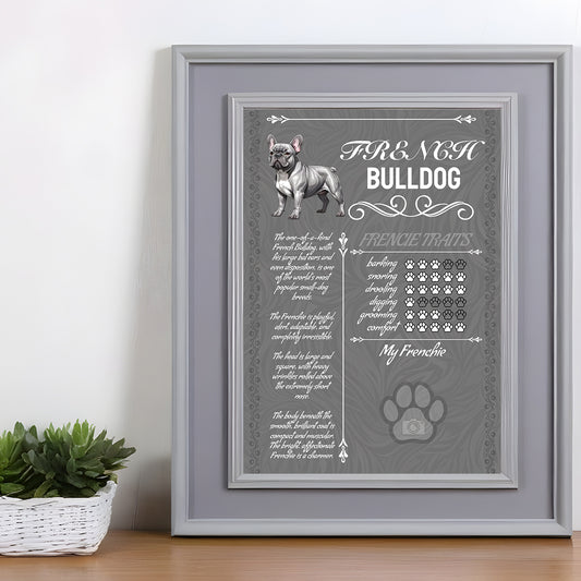 French Bulldog Glossy Poster A3