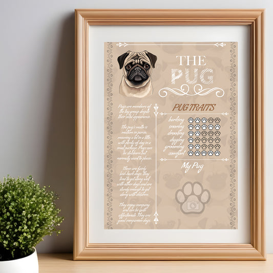 Pug Glossy Poster A3
