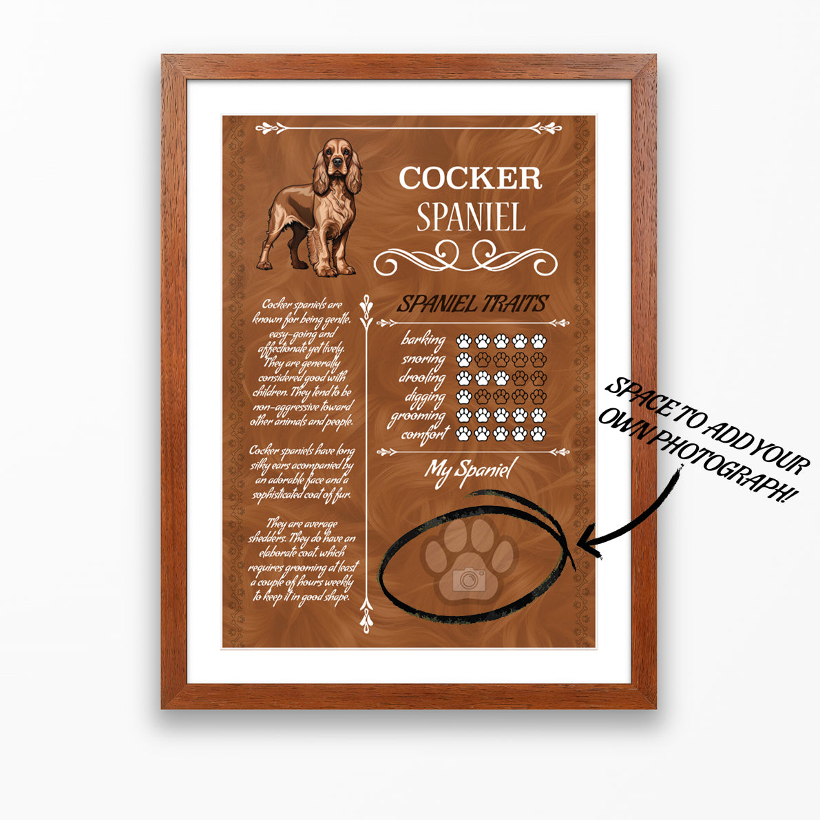 Cocker Spaniel Glossy Poster A3