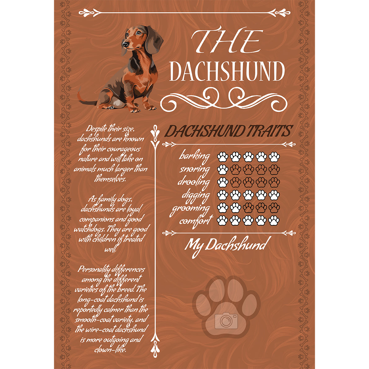 Dachshund Glossy Poster A3