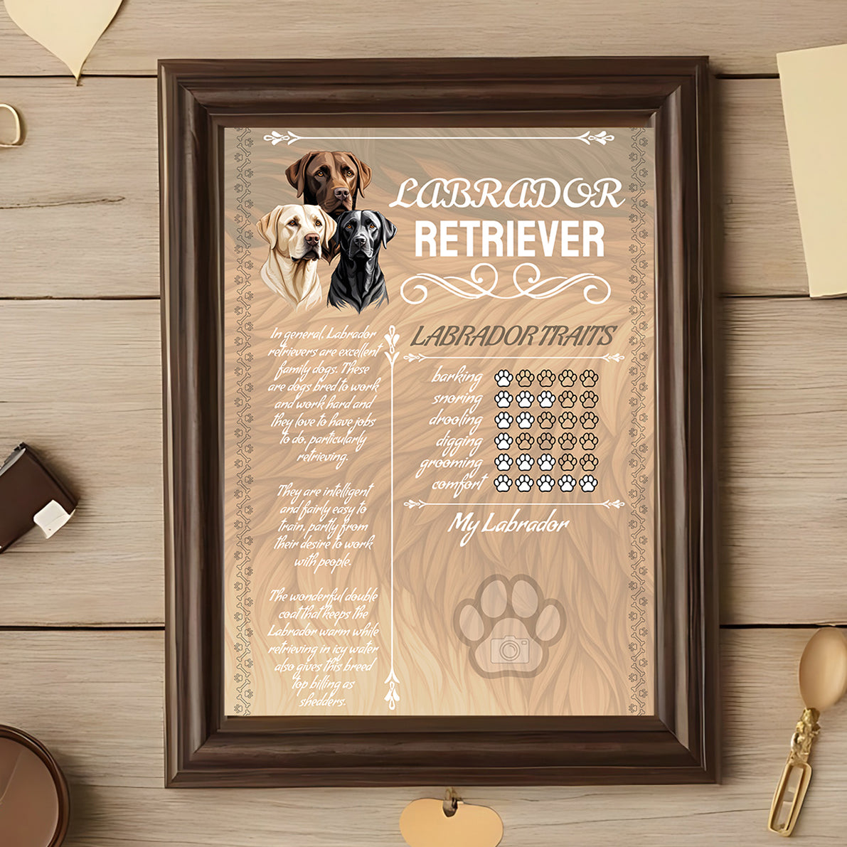Labrador Retriever Glossy Poster A3