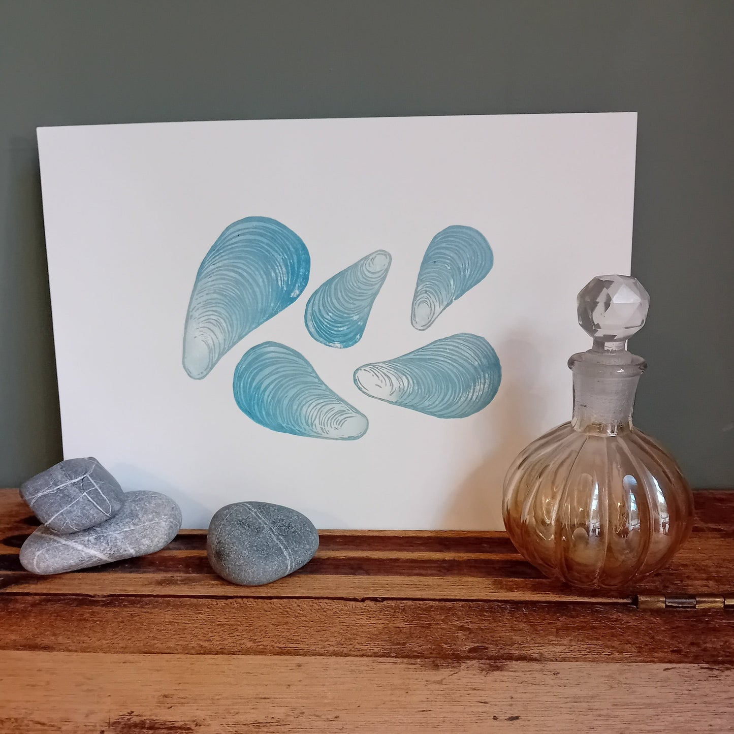 5 Mussel Shells A4 Print