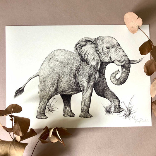 Elephant Print A4