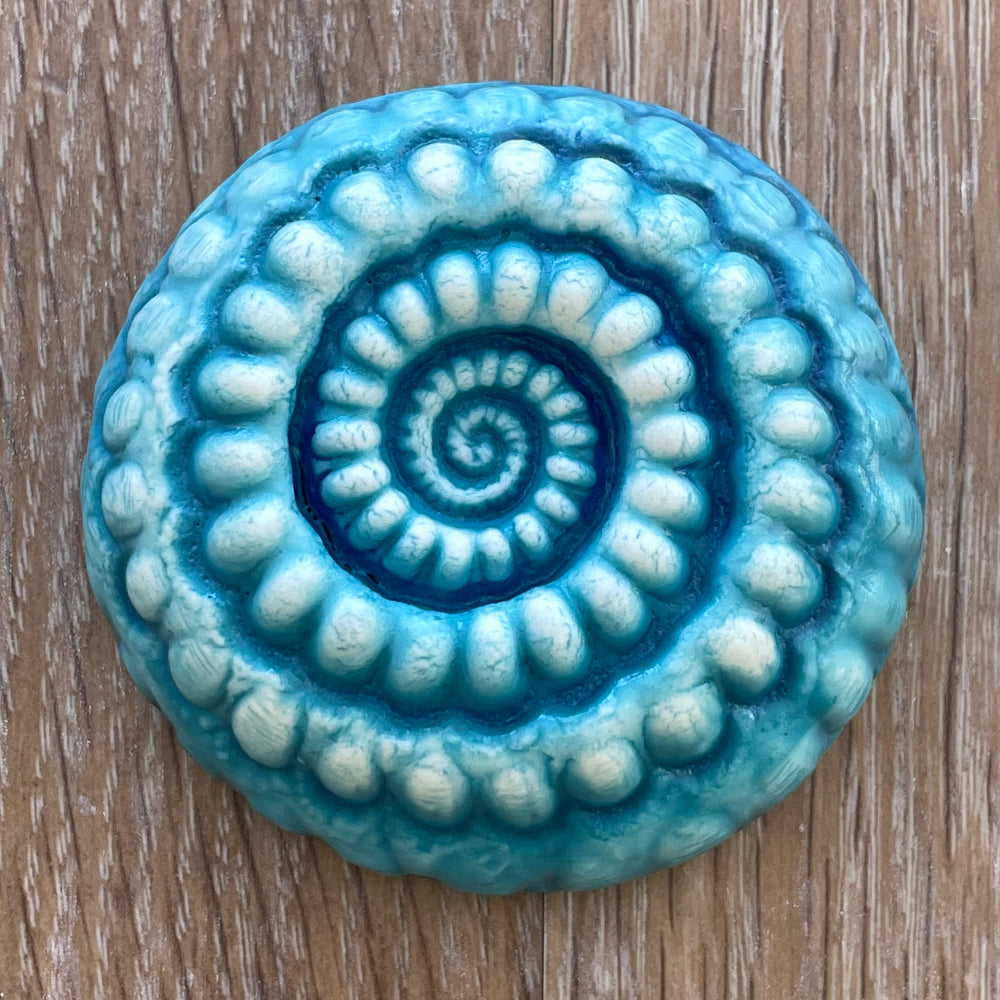 Ceramic Ammonites