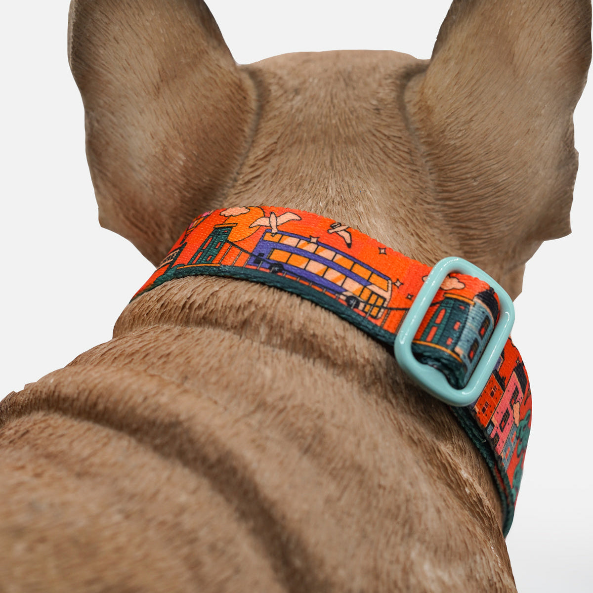 Cheers Drive Dog Collar