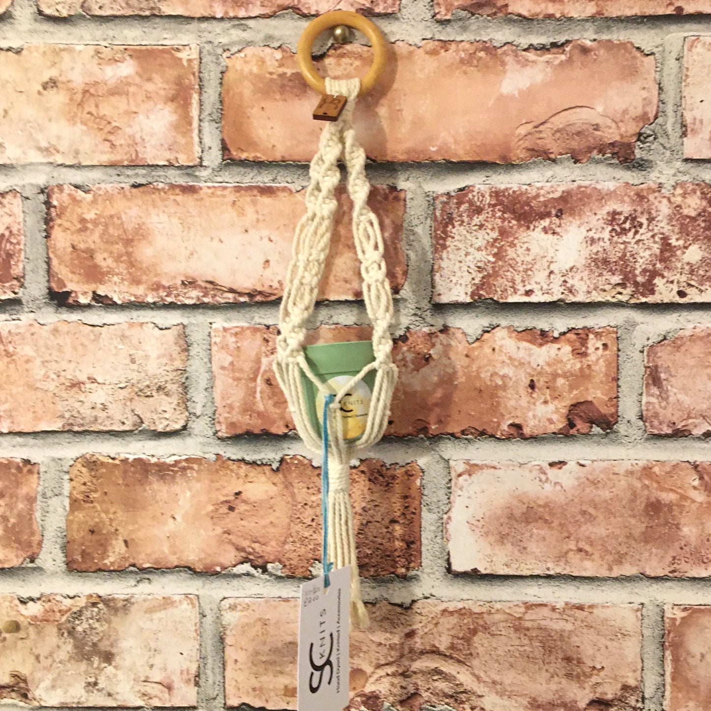 Mini Macrame Plant Hanger