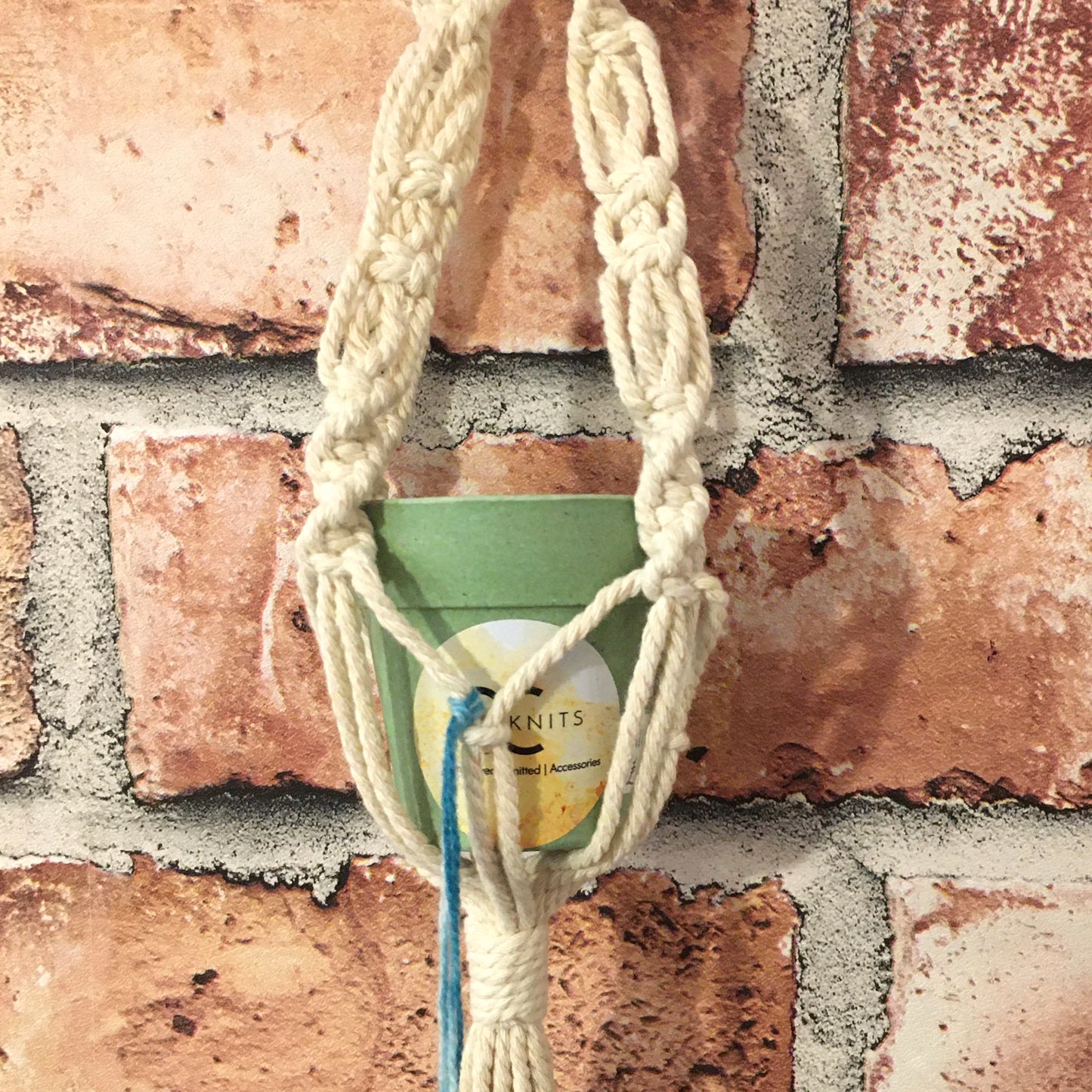 Mini Macrame Plant Hanger