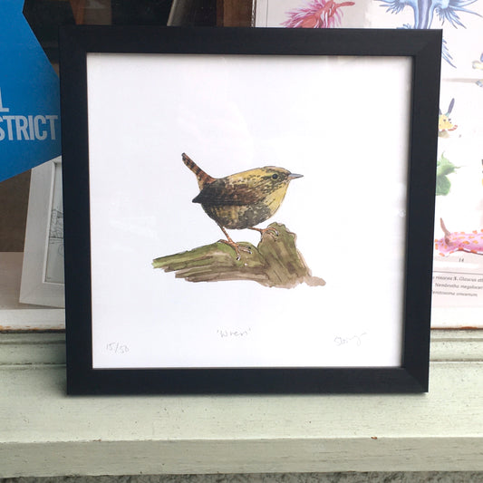 Wren Framed Print 28.3 x 28.3