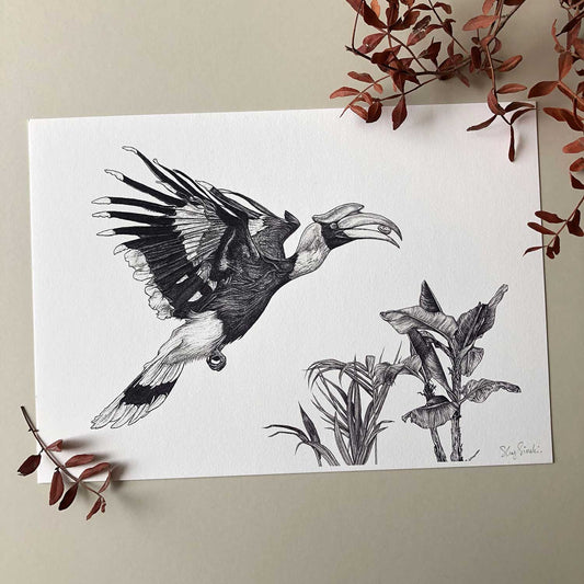 Hornbill Print A4