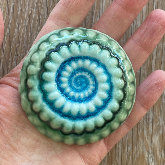 Ceramic Ammonites