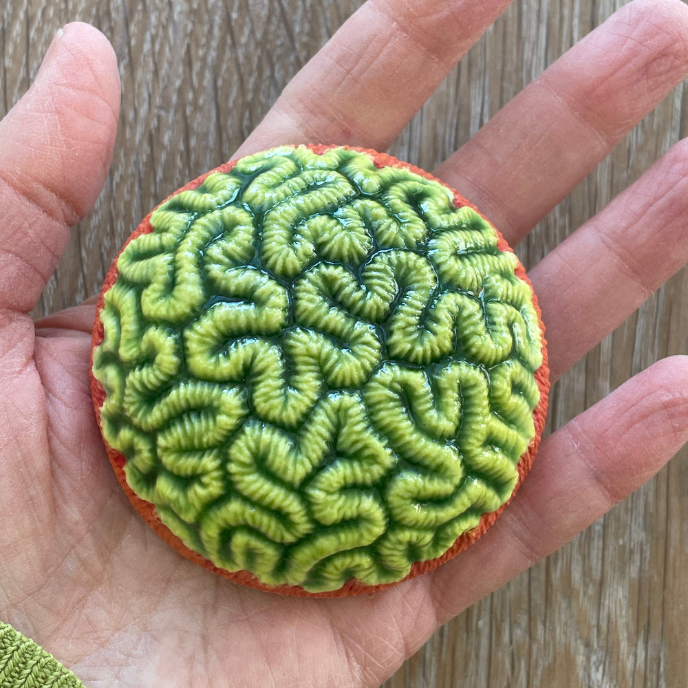 Porcelain Brain Coral