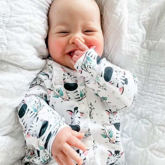Zebedie Baby Sleepsuit