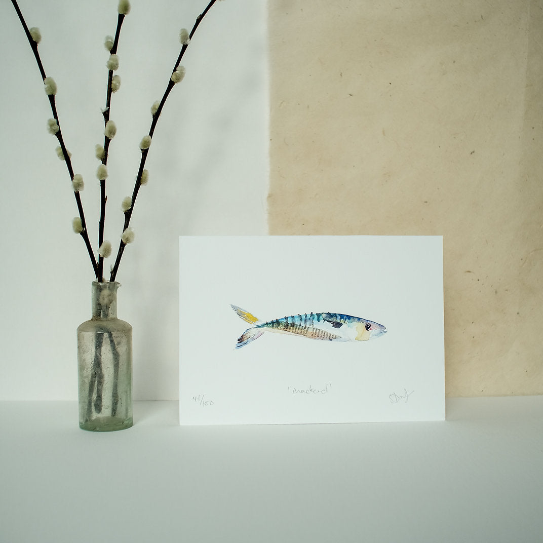 Mackerel Print in Various Sizes