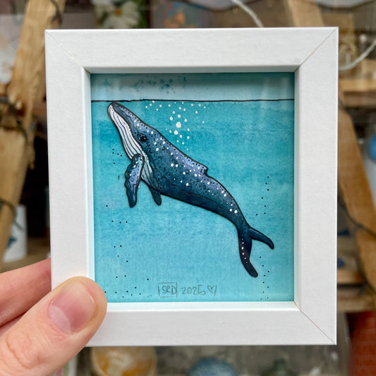 Mini Frame Blue Whale Swimming Up