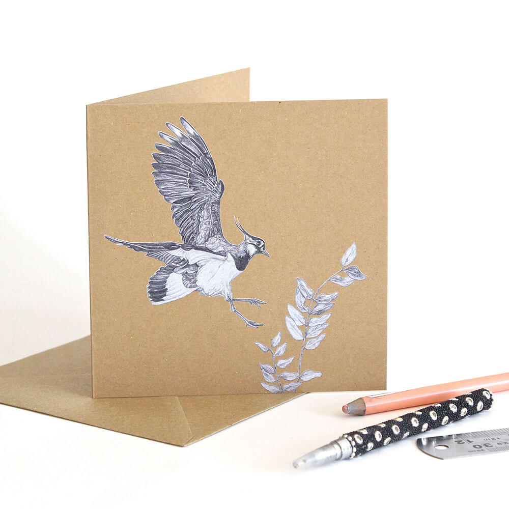 Northern Lapwing Greeting Card