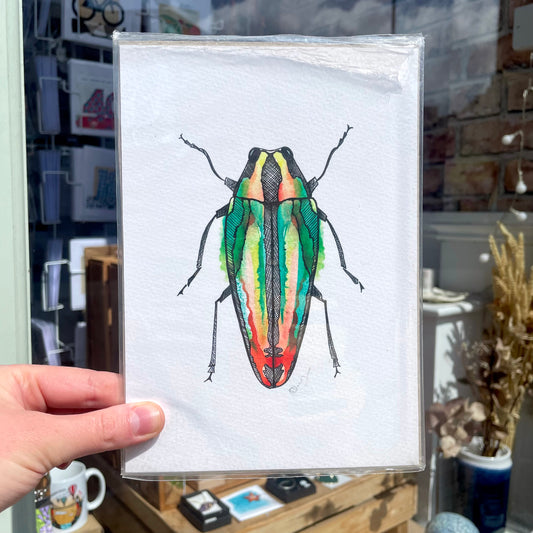 Orange Beetle Print A5