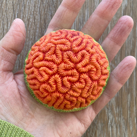 Porcelain Brain Coral