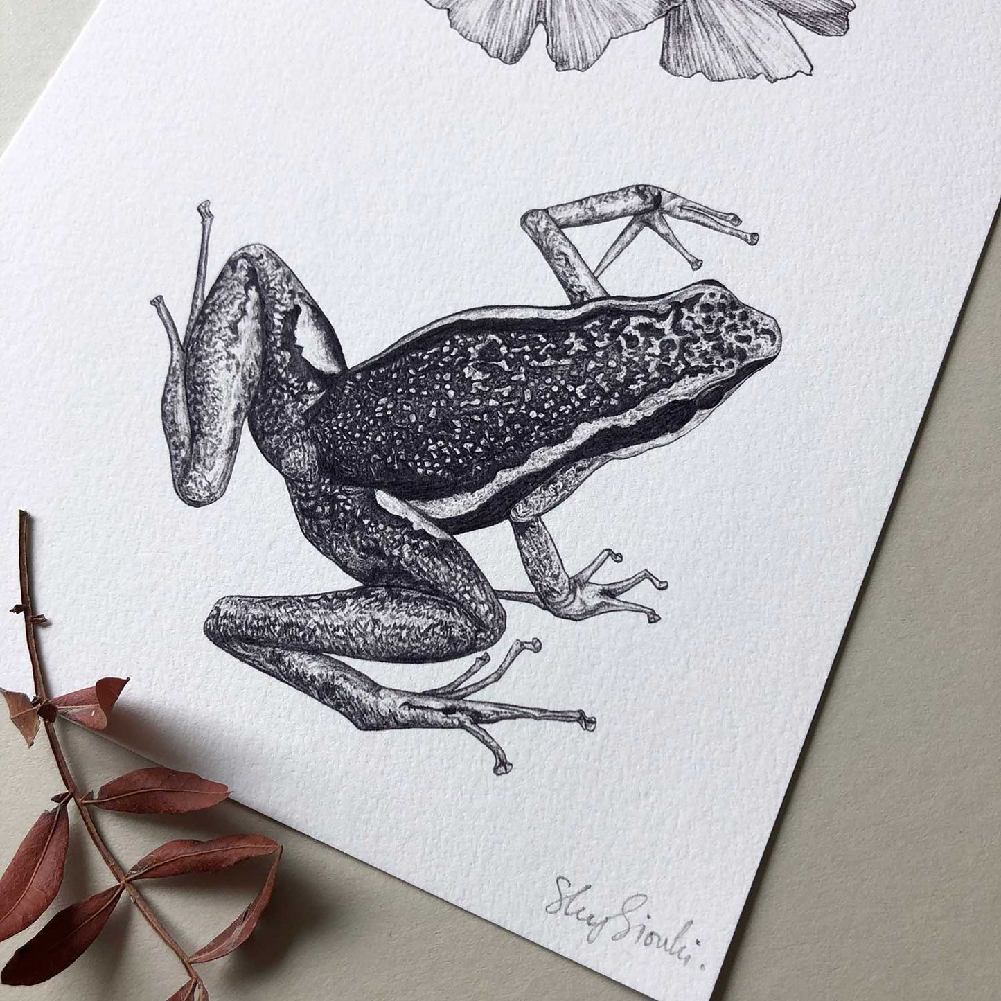 Frog Print A5