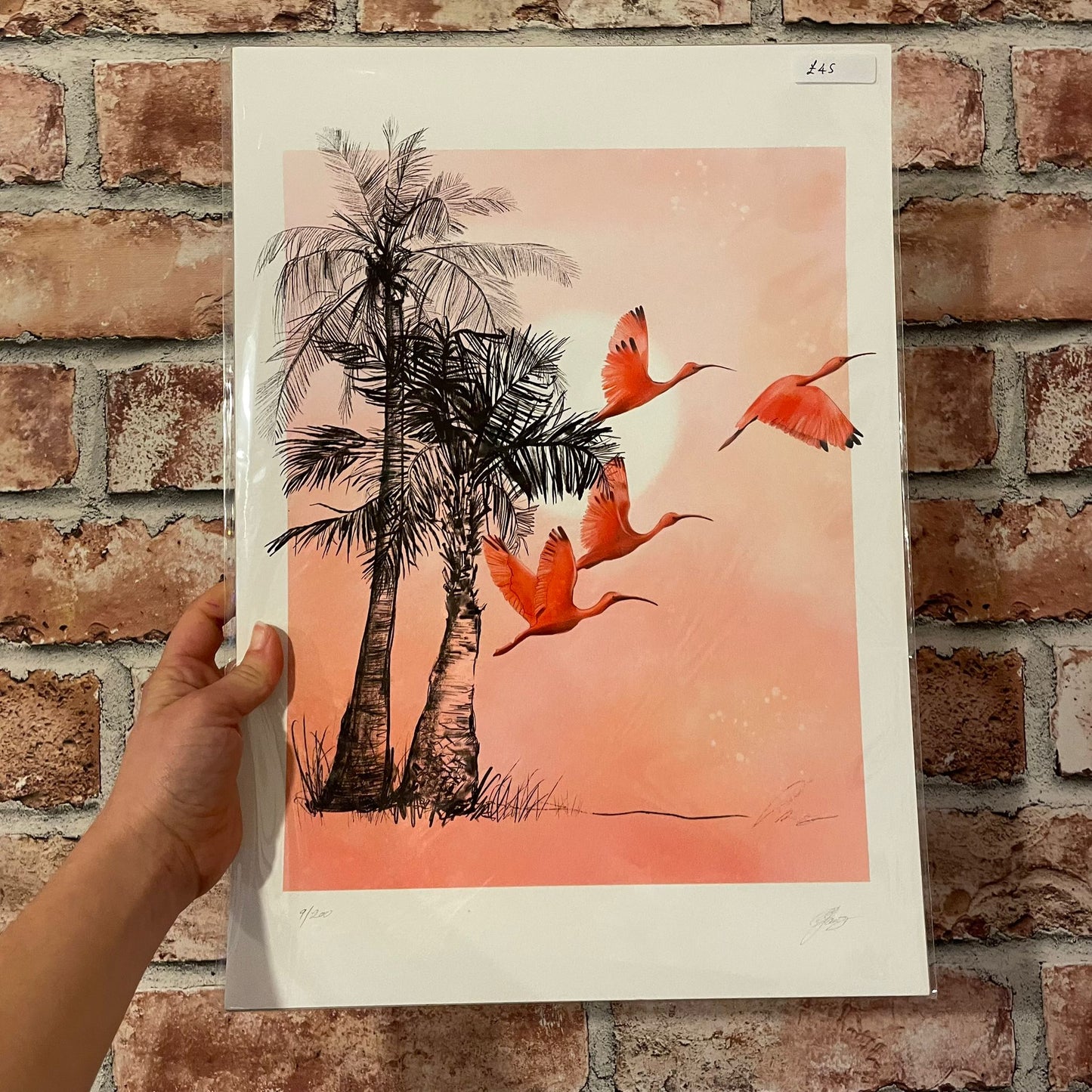 Scarlett Ibis Print