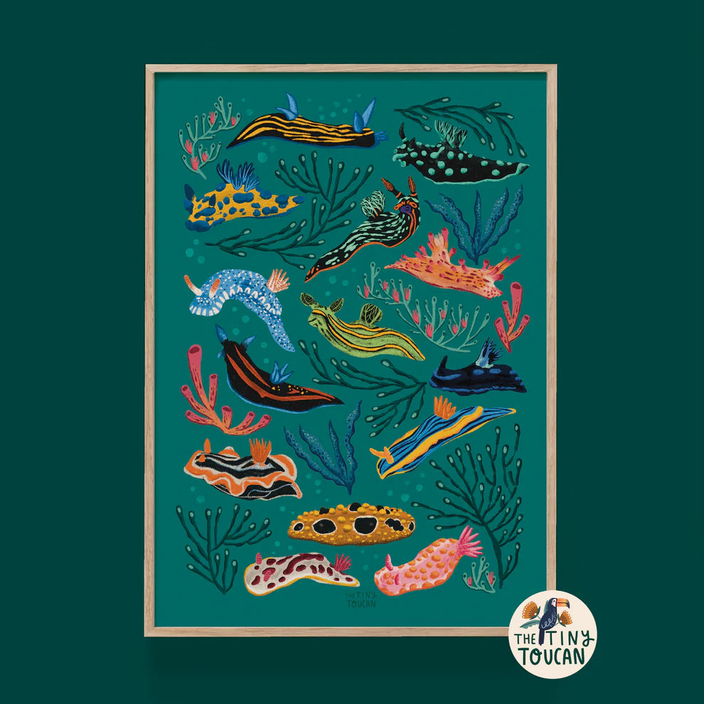 Nudibranch (Sea Slug) Print A4