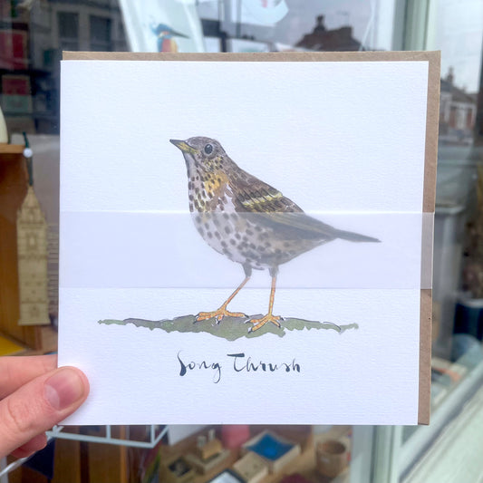 Song Thrush Card