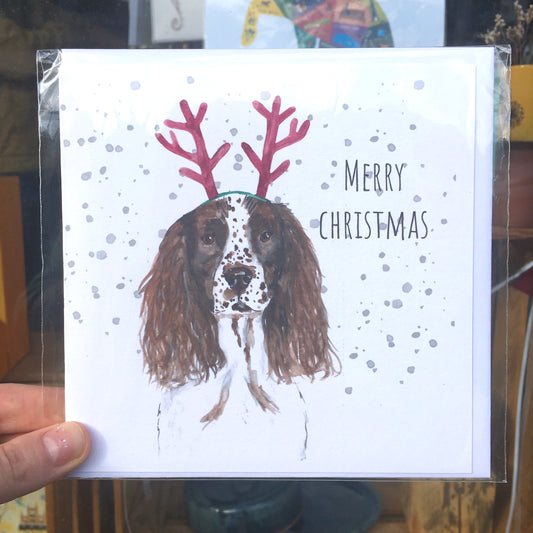 Springer Spaniel Christmas Card